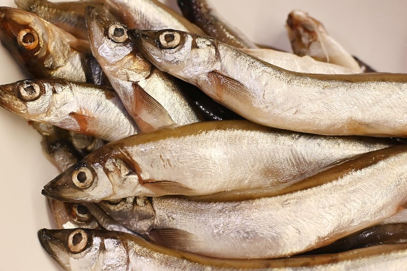 Sous Vide Cuisine